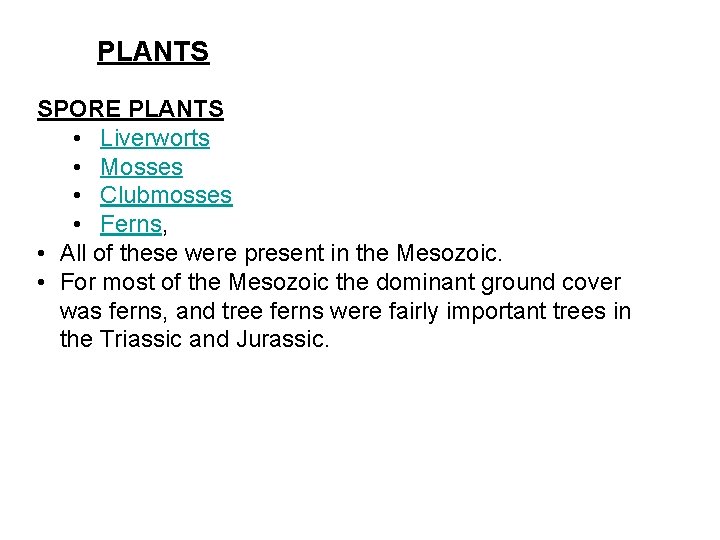 PLANTS SPORE PLANTS • Liverworts • Mosses • Clubmosses • Ferns, • All of