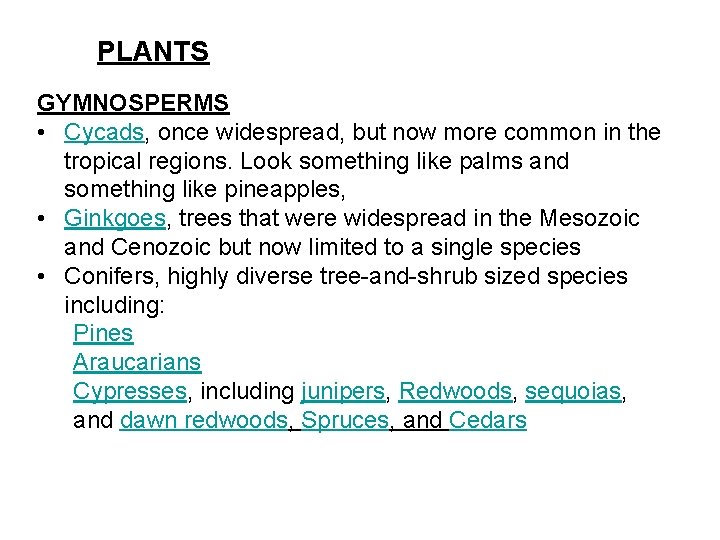 PLANTS GYMNOSPERMS • Cycads, once widespread, but now more common in the tropical regions.