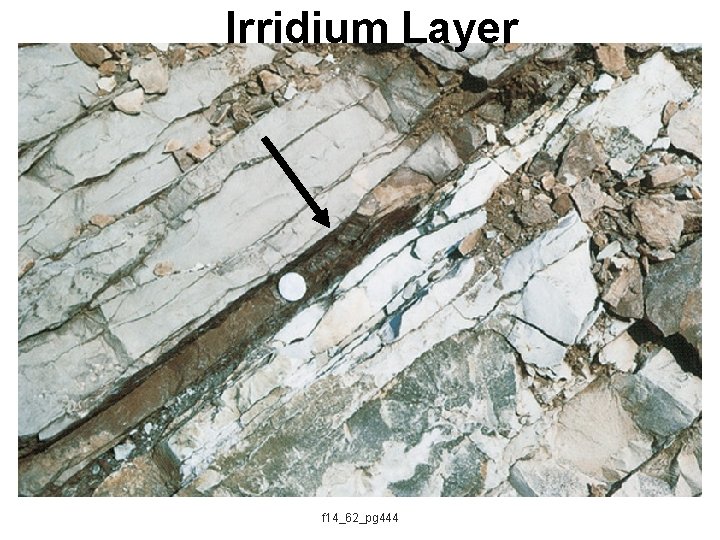 Irridium Layer f 14_62_pg 444 