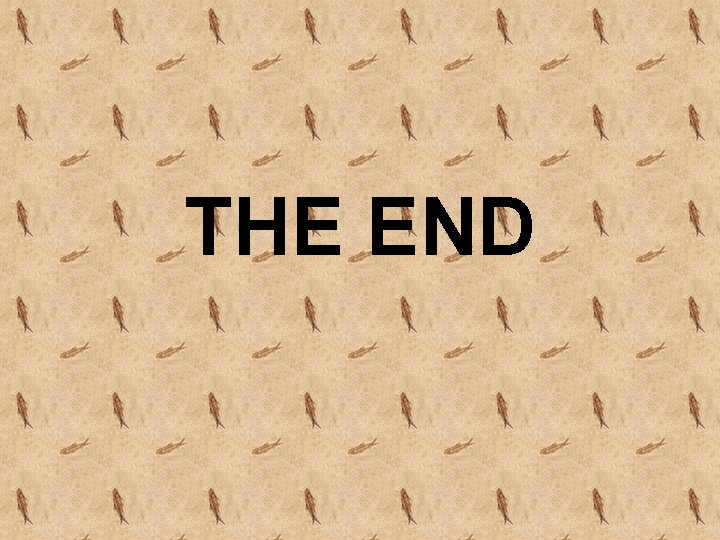 THE END 