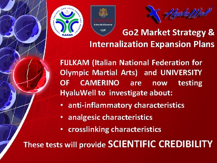 Go 2 Market Strategy & Internalization Expansion Plans FIJLKAM (Italian National Federation for Olympic