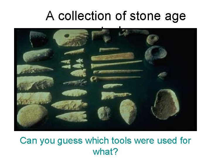A collection of stone age tools: Can you guess which tools were used for