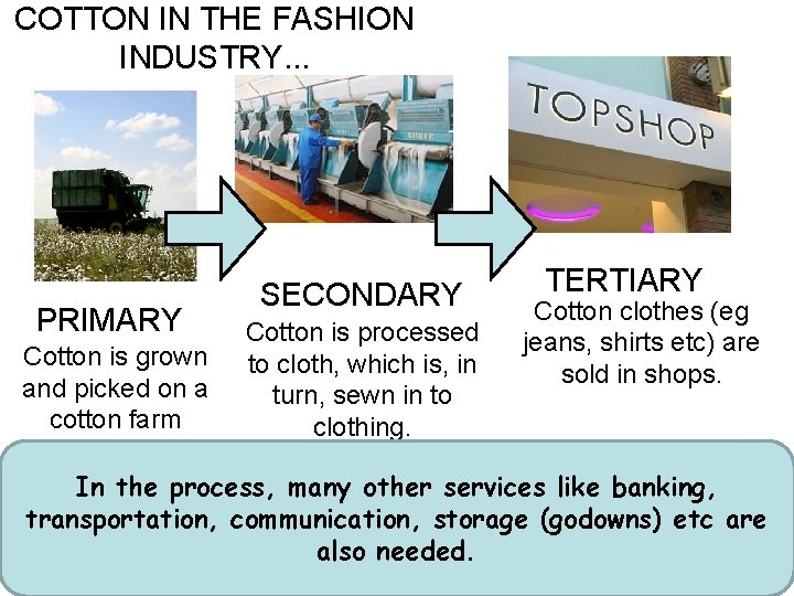 COTTON IN THE FASHION INDUSTRY. . . PRIMARY Cotton is grown and picked on