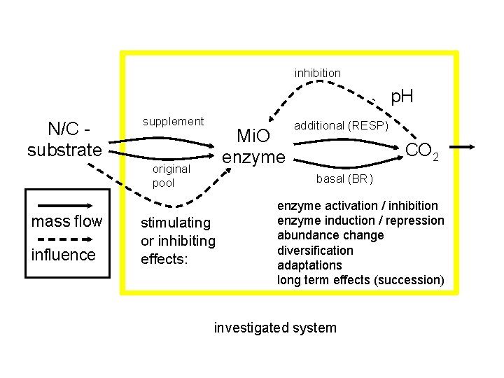 inhibition p. H N/C substrate supplement Mi. O enzyme original pool mass flow influence