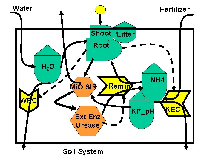 Water Fertilizer Shoot Litter Root H 2 O Mi. O SIR Remin NH 4
