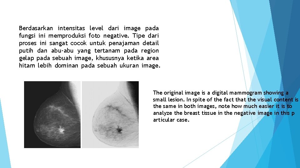 Berdasarkan intensitas level dari image pada fungsi ini memproduksi foto negative. Tipe dari proses