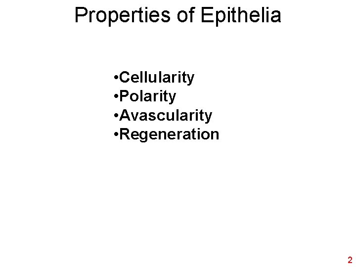 Properties of Epithelia • Cellularity • Polarity • Avascularity • Regeneration 2 