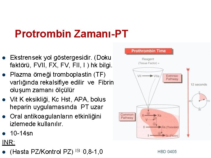 Protrombin Zamanı-PT Ekstrensek yol göstergesidir. (Doku faktörü, FVII, FX, FV, FII, I ) hk