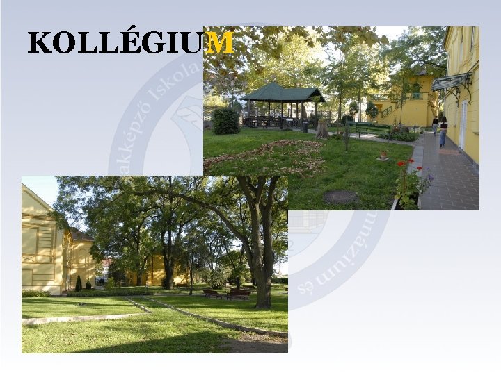 KOLLÉGIUM 