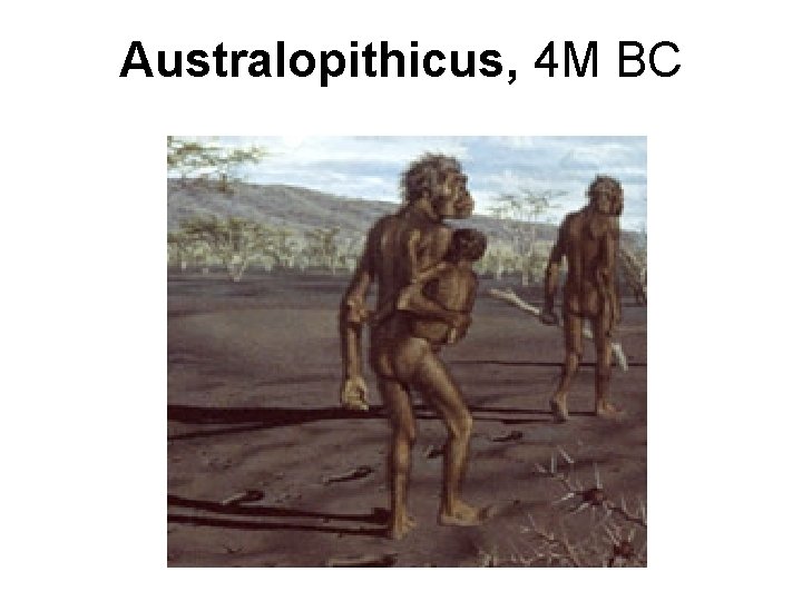 Australopithicus, 4 M BC 