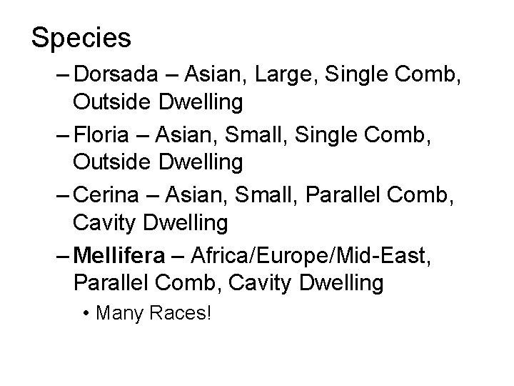 Species – Dorsada – Asian, Large, Single Comb, Outside Dwelling – Floria – Asian,