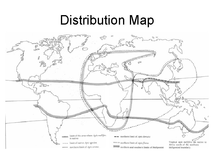 Distribution Map 