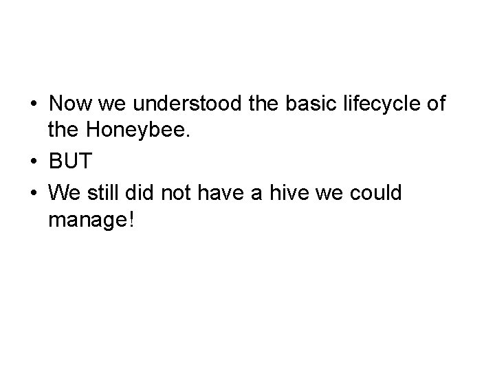  • Now we understood the basic lifecycle of the Honeybee. • BUT •