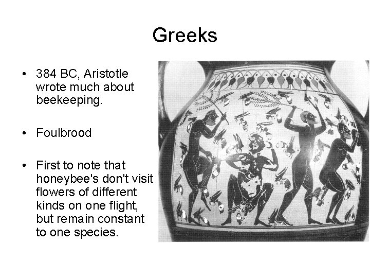 Greeks • 384 BC, Aristotle wrote much about beekeeping. • Foulbrood • First to