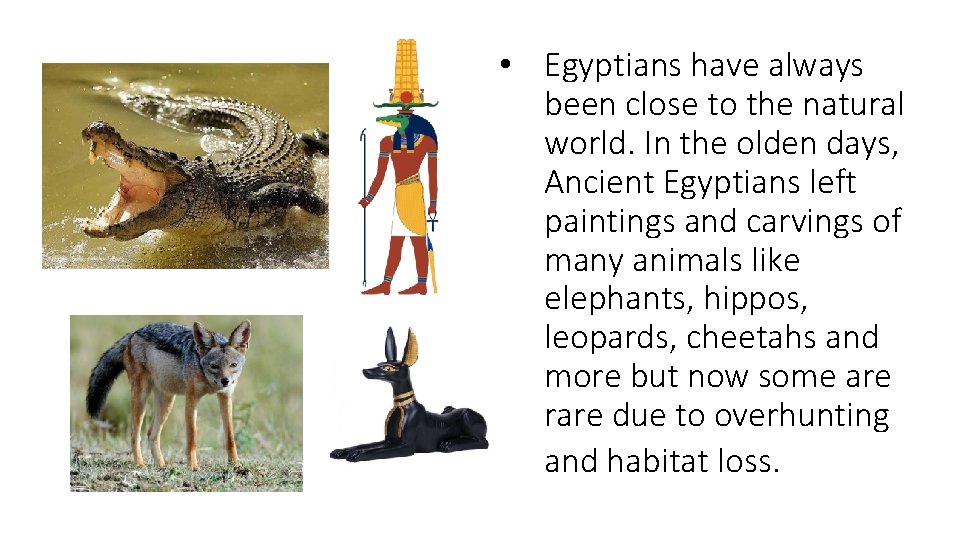  • Egyptians have always been close to the natural world. In the olden