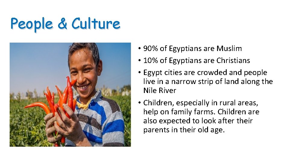 People & Culture • 90% of Egyptians are Muslim • 10% of Egyptians are