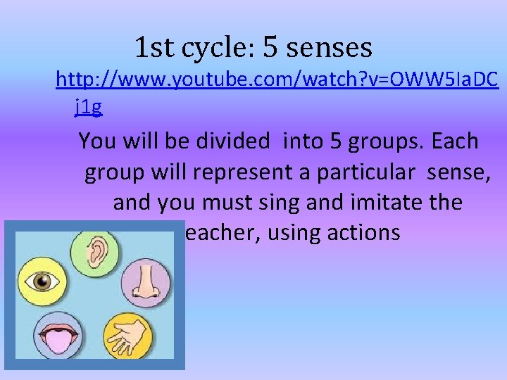 1 st cycle: 5 senses http: //www. youtube. com/watch? v=OWW 5 Ia. DC j