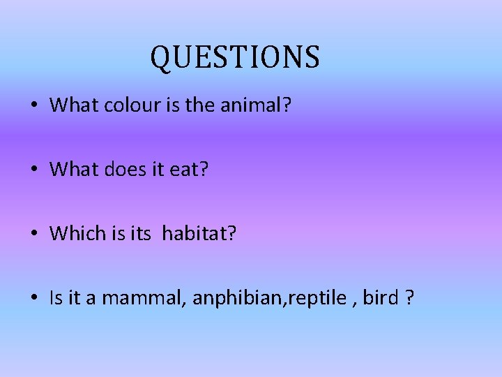 QUESTIONS • What colour is the animal? • What does it eat? • Which