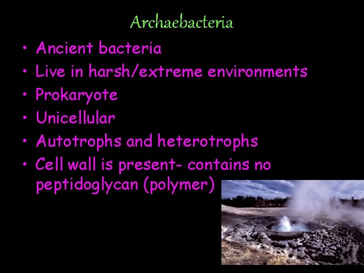 Archaebacteria • • • Ancient bacteria Live in harsh/extreme environments Prokaryote Unicellular Autotrophs and