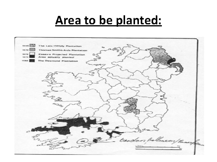 Area to be planted: 