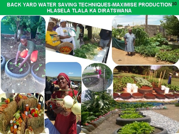 BACK YARD WATER SAVING TECHNIQUES-MAXIMISE PRODUCTION 30 HLASELA TLALA KA DIRATSWANA 