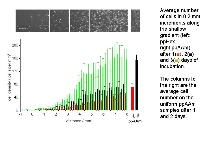 Average number of cells in 0. 2 mm increments along the shallow gradient (left: