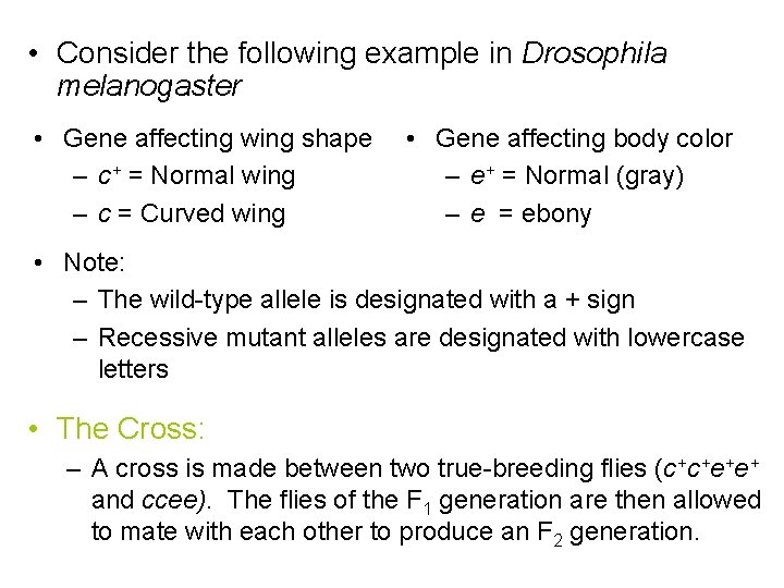  • Consider the following example in Drosophila melanogaster • Gene affecting wing shape