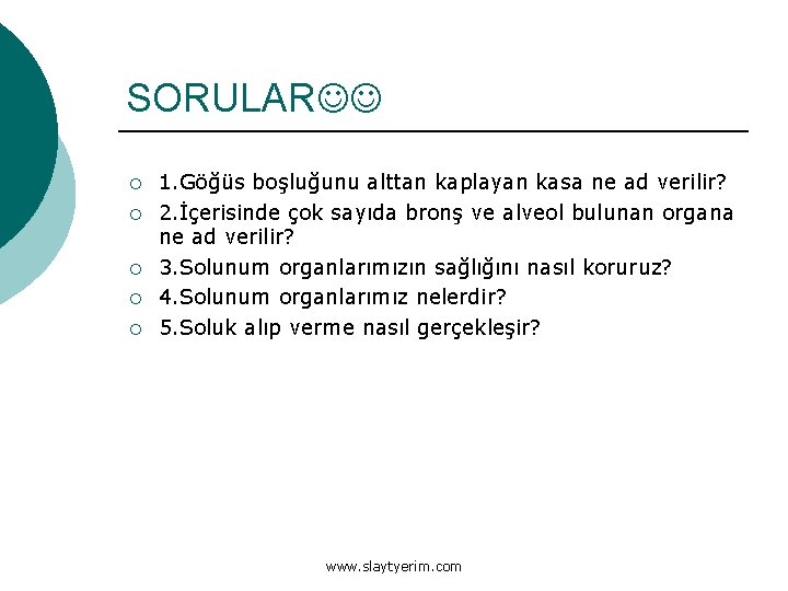 SORULAR ¡ ¡ ¡ 1. Göğüs boşluğunu alttan kaplayan kasa ne ad verilir? 2.