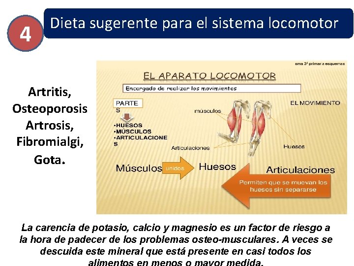 4 Dieta sugerente para el sistema locomotor Artritis, Osteoporosis Artrosis, Fibromialgi, Gota. La carencia