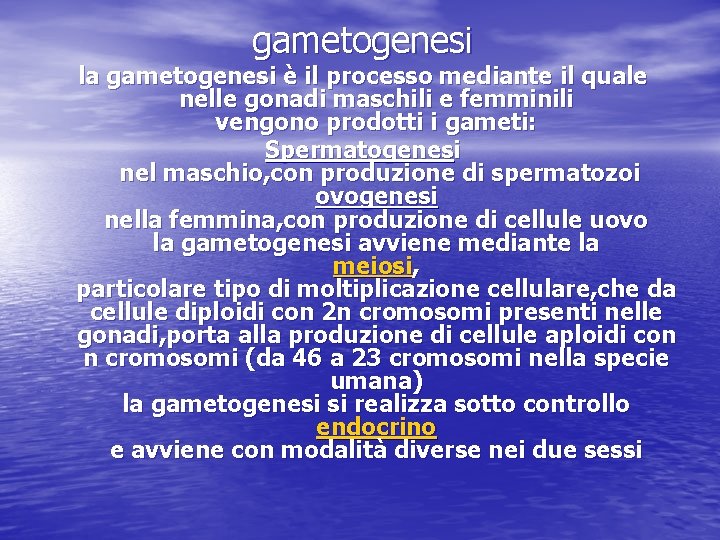 gametogenesi la gametogenesi è il processo mediante il quale nelle gonadi maschili e femminili gametogenesi la gametogenesi è il processo mediante il quale nelle gonadi maschili e femminili