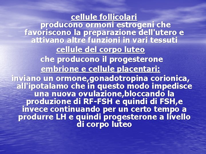 cellule follicolari producono ormoni estrogeni che favoriscono la preparazione dell'utero e attivano altre funzioni cellule follicolari producono ormoni estrogeni che favoriscono la preparazione dell'utero e attivano altre funzioni