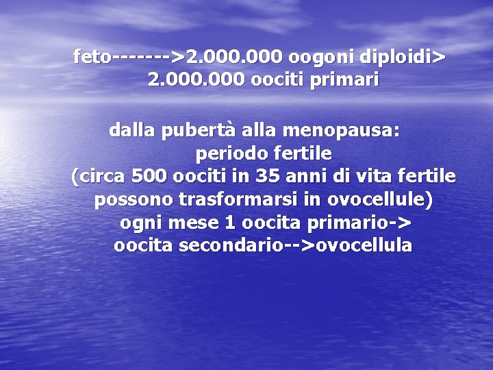 feto------->2. 000 oogoni diploidi> 2. 000 oociti primari dalla pubertà alla menopausa: periodo fertile feto------->2. 000 oogoni diploidi> 2. 000 oociti primari dalla pubertà alla menopausa: periodo fertile