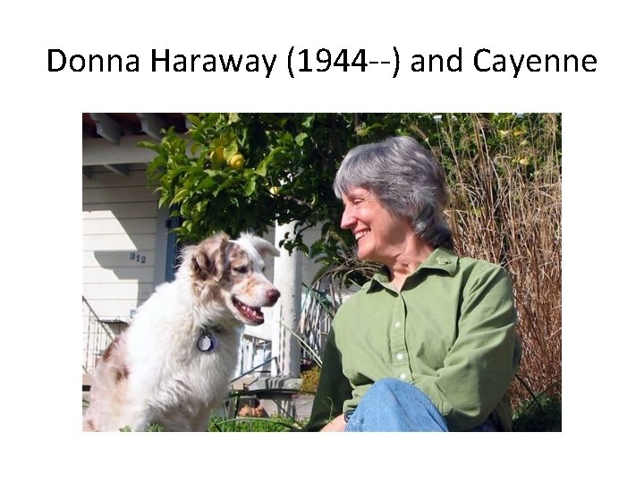 Donna Haraway (1944 --) and Cayenne 