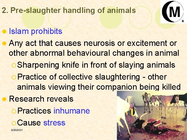 2. Pre-slaughter handling of animals l Islam prohibits l Any act that causes neurosis