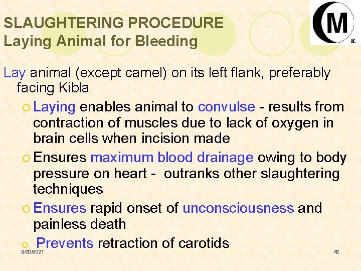 SLAUGHTERING PROCEDURE Laying Animal for Bleeding Lay animal (except camel) on its left flank,
