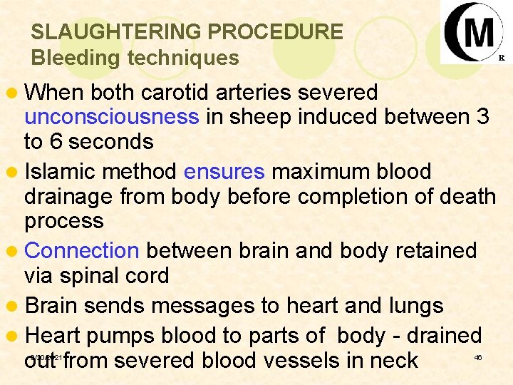 SLAUGHTERING PROCEDURE Bleeding techniques l When both carotid arteries severed unconsciousness in sheep induced