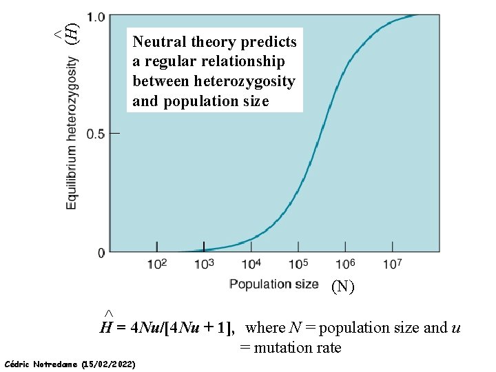 ^ (H) Neutral theory predicts a regular relationship between heterozygosity and population size (N)