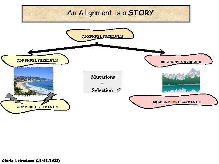 An Alignment is a STORY ADKPKRPLSAYMLWLN Mutations + Selection ADKPKRPKPRLSAYMLWLN ADKPRRPLS-YMLWLN Cédric Notredame (15/02/2022)