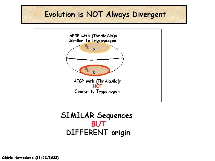 Evolution is NOT Always Divergent AFGP with (Thr. Ala)n Similar To Trypsynogen N S