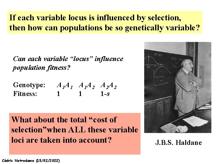 If each variable locus is influenced by selection, then how can populations be so