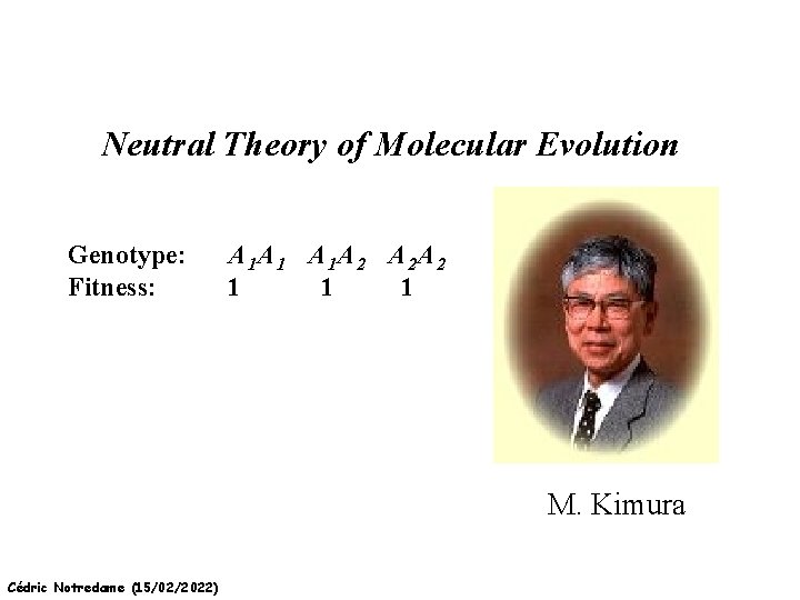 Neutral Theory of Molecular Evolution Genotype: Fitness: A 1 A 1 A 1 A