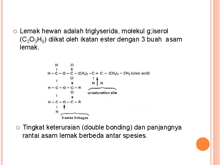  Lemak hewan adalah triglyserida, molekul g; iserol (C 3 O 3 H 8)