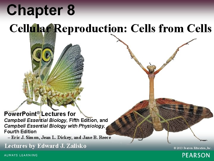 Chapter 8 Cellular Reproduction: Cells from Cells Power. Point® Lectures for Campbell Essential Biology,