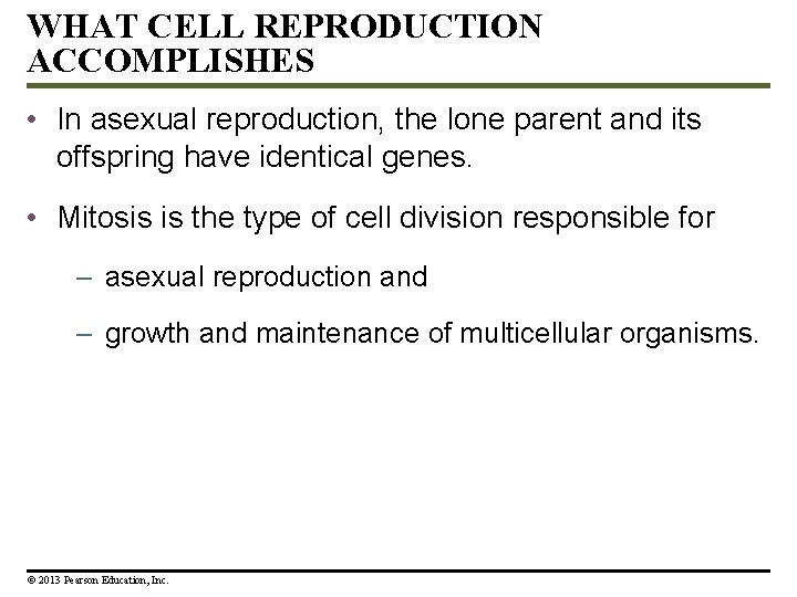 WHAT CELL REPRODUCTION ACCOMPLISHES • In asexual reproduction, the lone parent and its offspring
