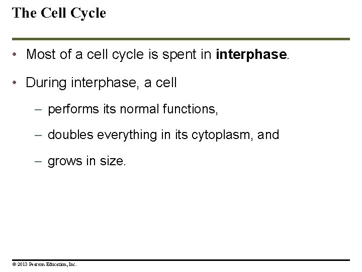 The Cell Cycle • Most of a cell cycle is spent in interphase. •