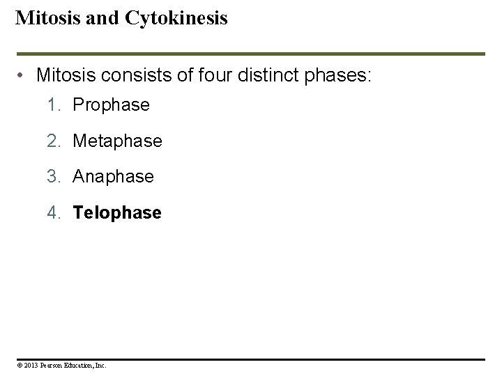 Mitosis and Cytokinesis • Mitosis consists of four distinct phases: 1. Prophase 2. Metaphase