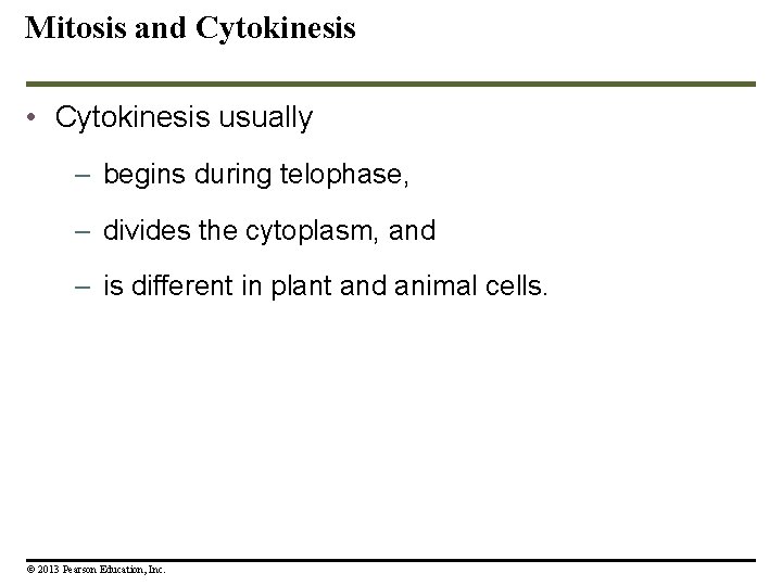 Mitosis and Cytokinesis • Cytokinesis usually – begins during telophase, – divides the cytoplasm,