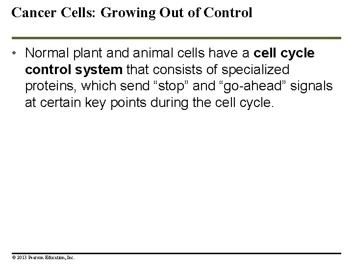Cancer Cells: Growing Out of Control • Normal plant and animal cells have a