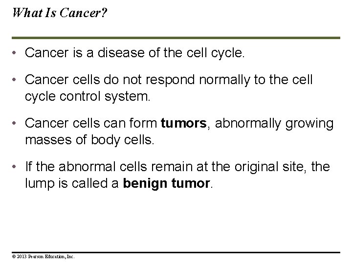 What Is Cancer? • Cancer is a disease of the cell cycle. • Cancer