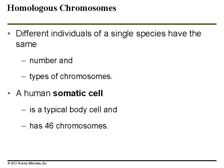 Homologous Chromosomes • Different individuals of a single species have the same – number